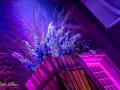 ls-ews-hd_028__DSC6658